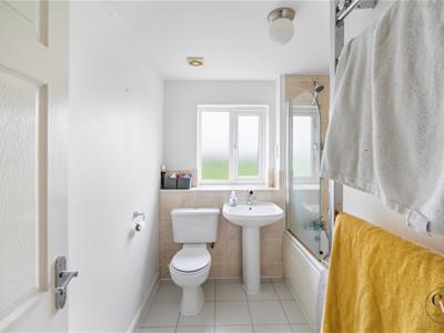 Picture 23